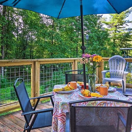 Shaw Creek Cottage With Fire Pit And Forest Views Hendersonville Kültér fotó